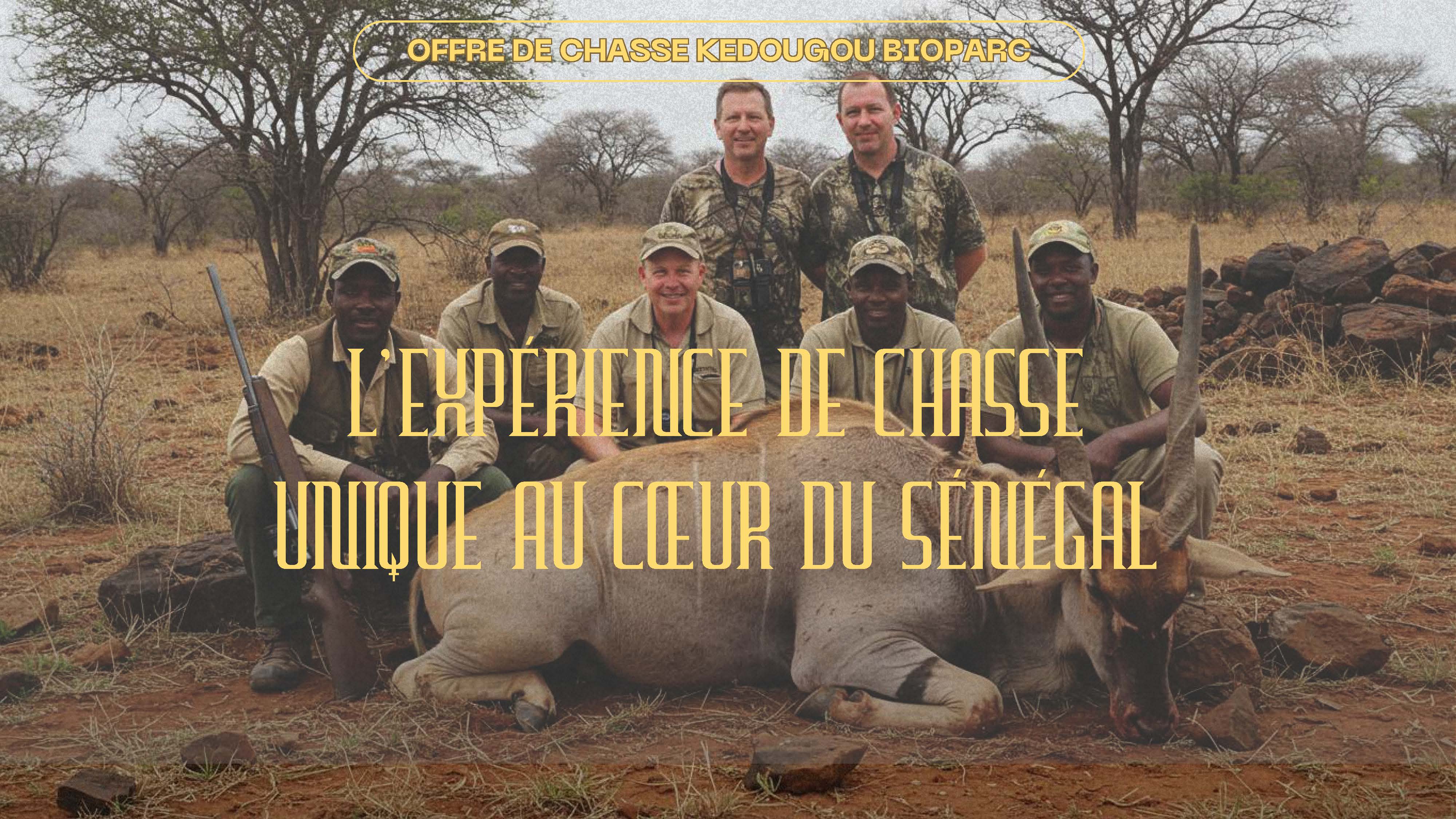 OFFRES DE CHASSE